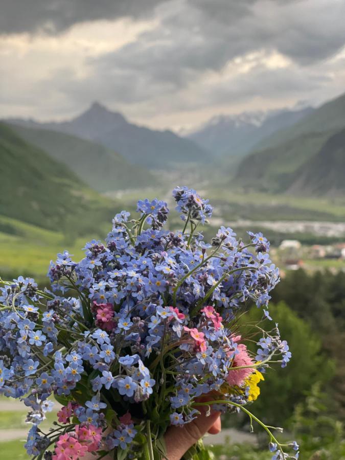 Aura Cottages Kazbegi Luaran gambar